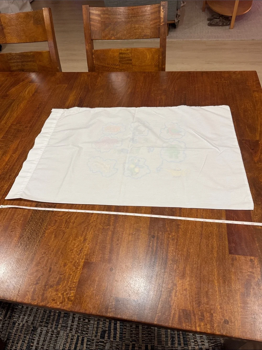 Vintage 90s “I Dream of Beanie” Pillowcase with Beanie Babies